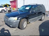 Ford Escape Xlt/Xlt Sport 1FMCU93137KA35068 fotografie