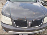 Pontiac Torrent 2CKDL63F976076029 снимка