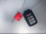 Miniaturka zdjęcia 11