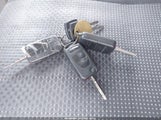 Miniaturka zdjęcia 11