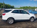 Chevrolet Equinox Ls 2GNAXHEVXK6139699 снимка