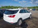 Chevrolet Equinox Ls 2GNAXHEVXK6139699 fotografie