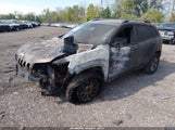 Jeep Cherokee Latitude Plus 4X4 1C4PJMLB4LD523941 снимка