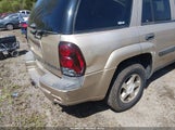 Chevrolet Trailblazer Ls 1GNDT13S042165527 снимка