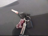 Miniaturka zdjęcia 11