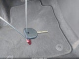 Miniaturka zdjęcia 11