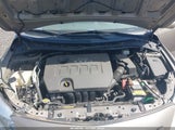 Toyota Corolla Le 1NXBU40E59Z056615 снимка