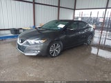 Nissan Maxima 3.5 Sl 1N4AA6AP9GC401478 снимка
