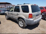 Ford Escape Xlt/Xlt Sport 1FMCU93117KC06173 fotografie