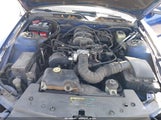 Ford Mustang V6 Deluxe/V6 Premium 1ZVFT80N155239592 снимка