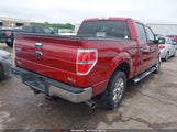 Ford F-150 Xlt 1FTFW1CT8DKD41693 снимка