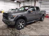 Ford F-150 Fx4 1FTFW1EF8DKF31842 снимка