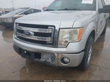 Ford F-150 Xlt 1FTFX1CFXEKE45059 снимка