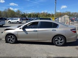 Honda Accord Lx 1HGCR2F36GA023286 photo