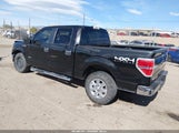 Ford F-150 Xlt 1FTFW1ET8DKF46749 снимка