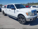Ford F-150 Fx4/Harley-Davidson/King Ranch/Lariat/Platinum/Xl/Xlt 1FTFW1EVXAKA57251 photo