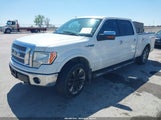 Ford F-150 Fx4/Harley-Davidson/King Ranch/Lariat/Platinum/Xl/Xlt 1FTFW1EVXAKA57251 fotografie