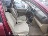 Miniaturka zdjęcia 5