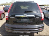Honda Cr-V Ex-L 5J6RE4H78AL012960 photo