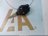 Miniaturka zdjęcia 11