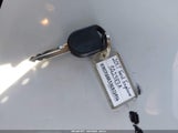 Miniaturka zdjęcia 11