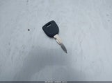 Miniaturka zdjęcia 11