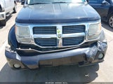 Dodge Nitro Slt/Rt 1D8GT58K67W718802 photo