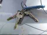 Miniaturka zdjęcia 11