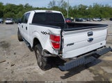 Ford F-150 Xlt 1FTFW1ET5EFB73910 снимка