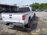 Ford F-150 Xlt 1FTFW1ET5EFB73910 снимка