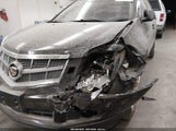 Cadillac Srx Performance Collection 3GYFNBEY9AS561923 снимка