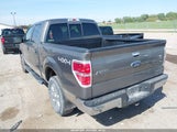 Ford F-150 Xlt 1FTFW1ET8BFC65055 снимка