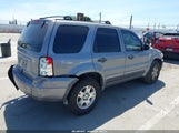 Ford Escape Xlt/Xlt Sport 1FMYU03197KA44066 photo