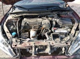 Honda Accord Sport Se 1HGCR2F16HA025278 photo