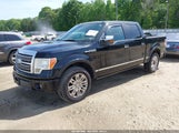 Ford F-150 King Ranch/Lariat/Platinum/Xl/Xlt 1FTPW12V59FB47162 fotografie
