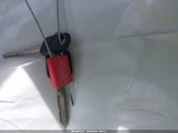 Miniaturka zdjęcia 11