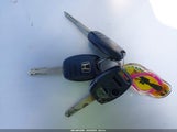 Miniaturka zdjęcia 11