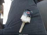 Miniaturka zdjęcia 11