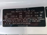 Miniaturka zdjęcia 9
