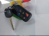 Miniaturka zdjęcia 11