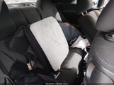 Miniaturka zdjęcia 8