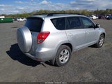 Toyota Rav4 Limited JTMBD31V186056739 photo
