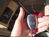 Miniaturka zdjęcia 11