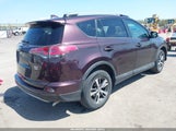 Toyota Rav4 Xle 2T3RFREV8HW631603 снимка