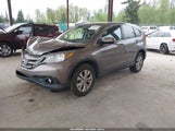 Miniaturka zdjęcia 2