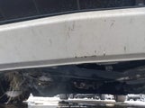 Acura Rdx Tech Pkg 5J8TB2H5XBA002842 снимка