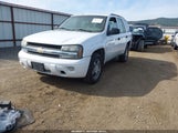 Chevrolet Trailblazer Fleet 1GNDT13S282194341 снимка