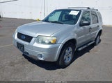 Ford Escape Xlt/Xlt Sport 1FMYU03137KC08413 снимка