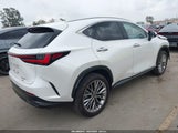 Lexus Nx 350H Luxury JTJHKCEZ3P2013472 fotografie