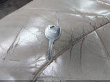 Miniaturka zdjęcia 11